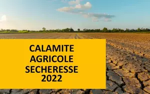 Calamité sécheresse 2022 PF sur prairies 