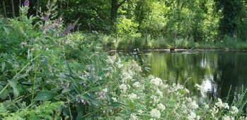 Jardin de Cantoperlic